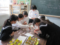 15IMG_1016
