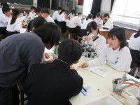 06IMG_2912