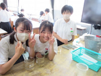 12IMG_4107