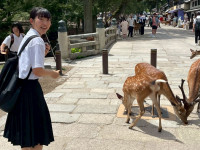 08image12 (5)