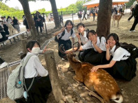 09image15 (1)