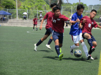 10IMG_4783