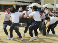26IMG_6230