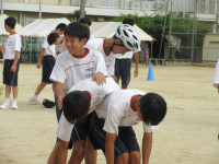 28IMG_6546