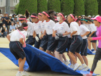 10IMG_6630