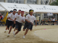 19IMG_6651