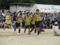 29IMG_6730