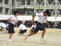 13IMG_6778
