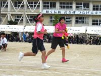 16IMG_6774