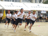 16IMG_6647