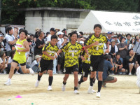 29IMG_6730
