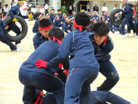 13IMG_6830