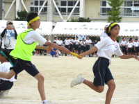 16IMG_6891