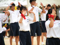 27IMG_8260