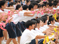 30IMG_8268