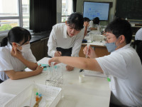 05IMG_7018