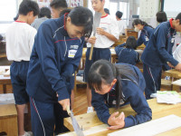 29IMG_7270