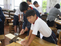 30IMG_7271