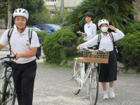 22IMG_8520