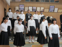 29IMG_8768