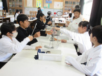05IMG_8863