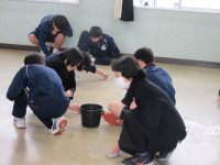 11IMG_5761