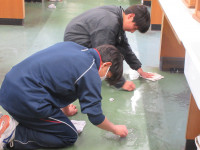 29IMG_5795