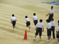 29IMG_0545