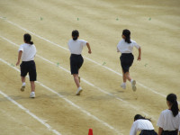 30IMG_0548