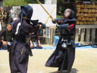 15IMG_0773