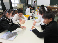 02IMG_0951