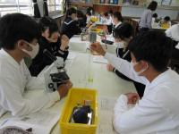 06IMG_0956