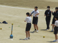 29IMG_1319