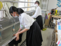 05IMG_2711