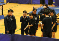 15IMG_9529