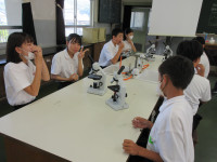 11IMG_3978