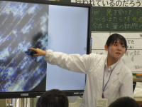 15IMG_4539