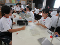 05IMG_6017