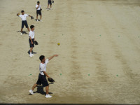 29IMG_7393