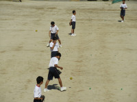 30IMG_7395