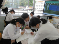 05IMG_8615