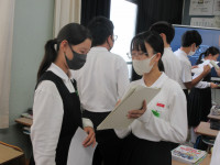 11IMG_8692