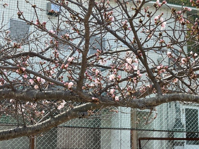 10image0 (65)